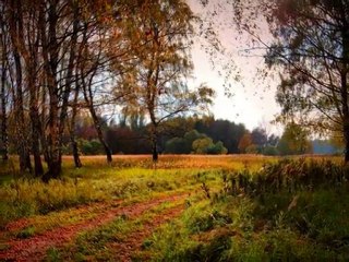 a wonderful world  - Harika bir Dünya