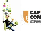 Cap'com 2010 - Parcours professionnels