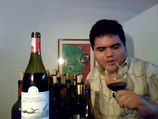 Colonia Las Liebres Bonarda 2009