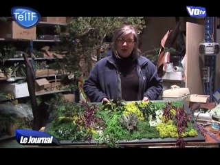 Décoration florale et végétale (Eaubonne)