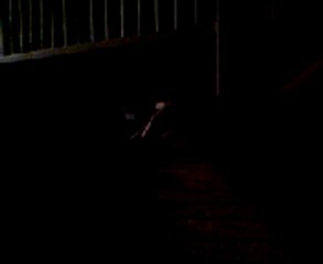 Mini bout de Paparazzi au piano, mdr.