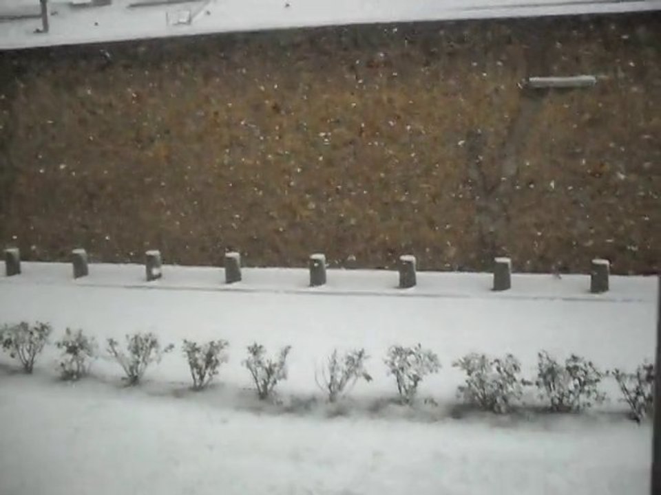 Neige