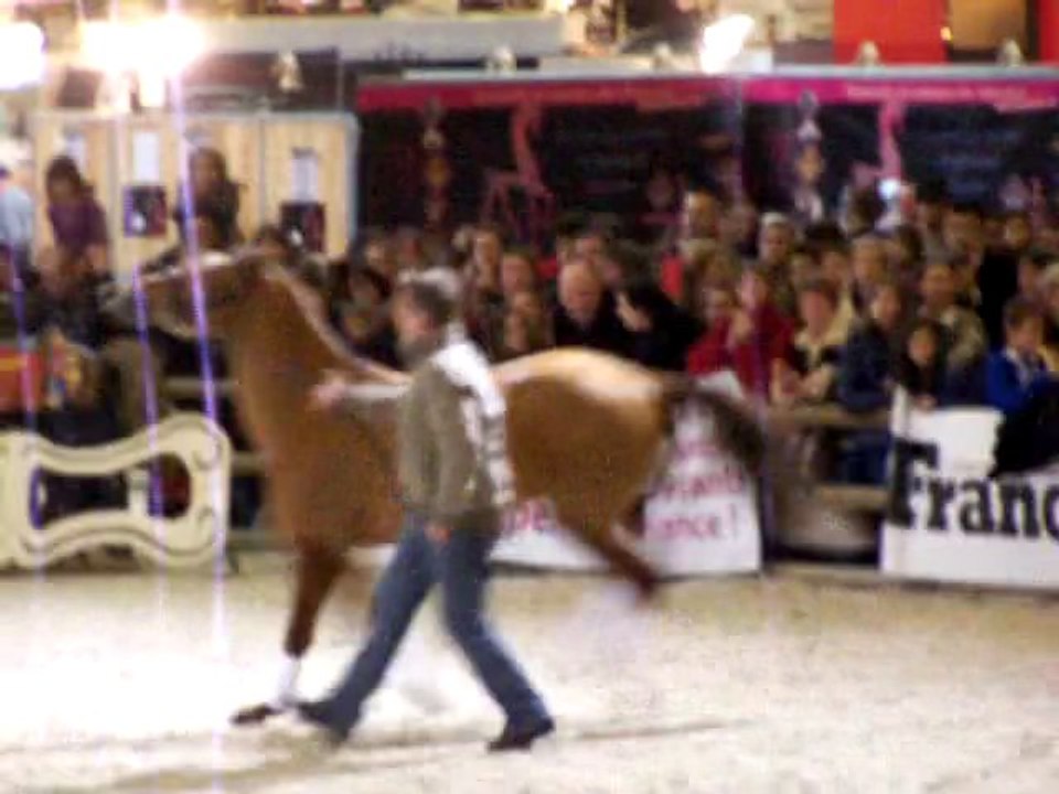 Aron N & Mac Geyver à la parade des étalons du S.L.