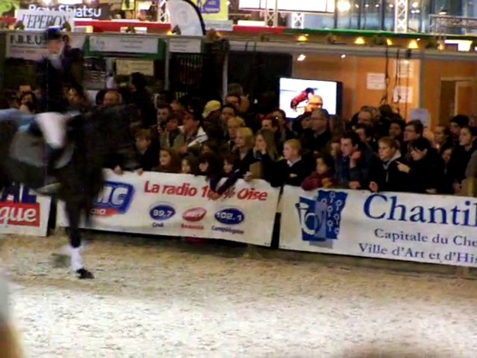 Détente des 3 étalons du Syndicat Linaro présenté au saut.