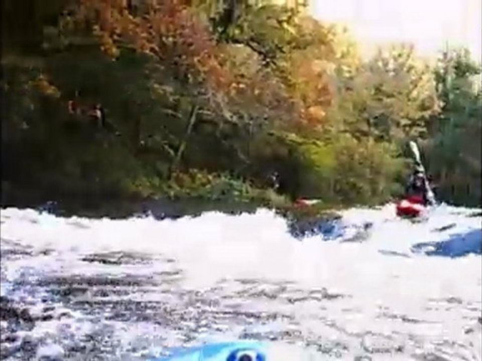 Teifi carnage