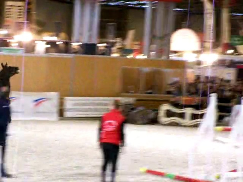 Welcome sympatico sur le gros oxer lors de la parade...