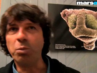 Parc des calanques : "Retirer la rade sud est une erreur"