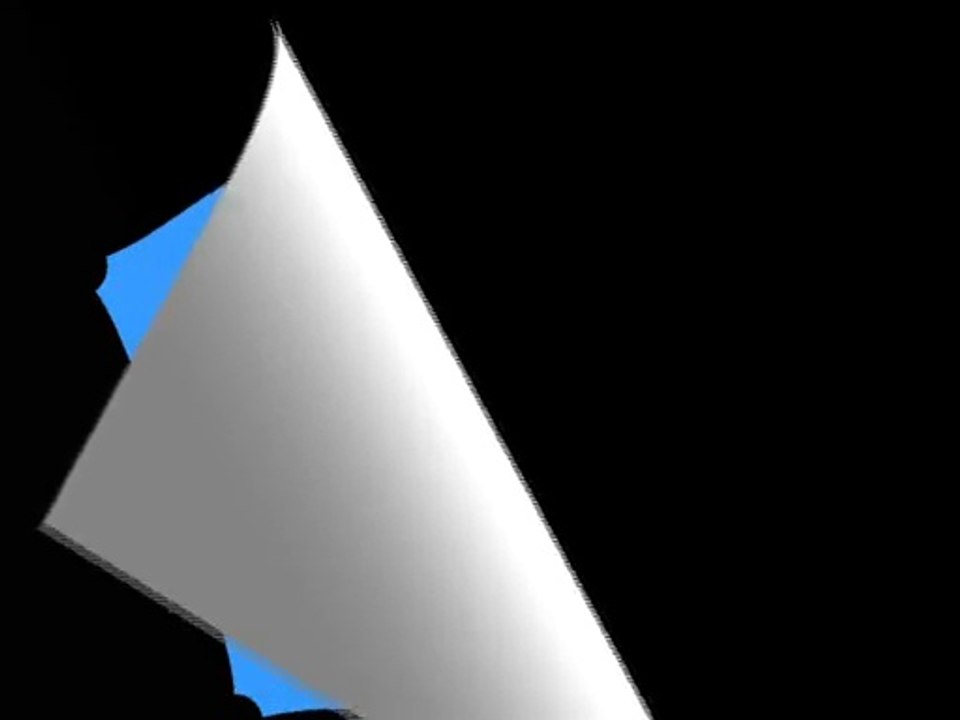 AIKIDO in Planten un Blomen HH zum Kirschblütenfest 2010