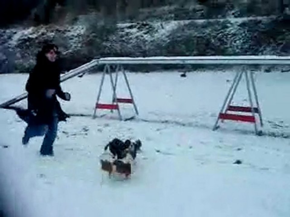 trop forte les fifilles