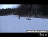 snow surfing doggy style