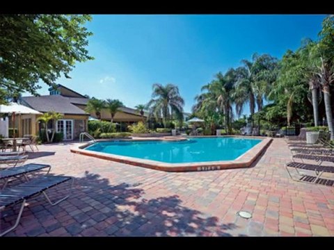 Tamarind Bay Apartments - St. Petersburg, FL