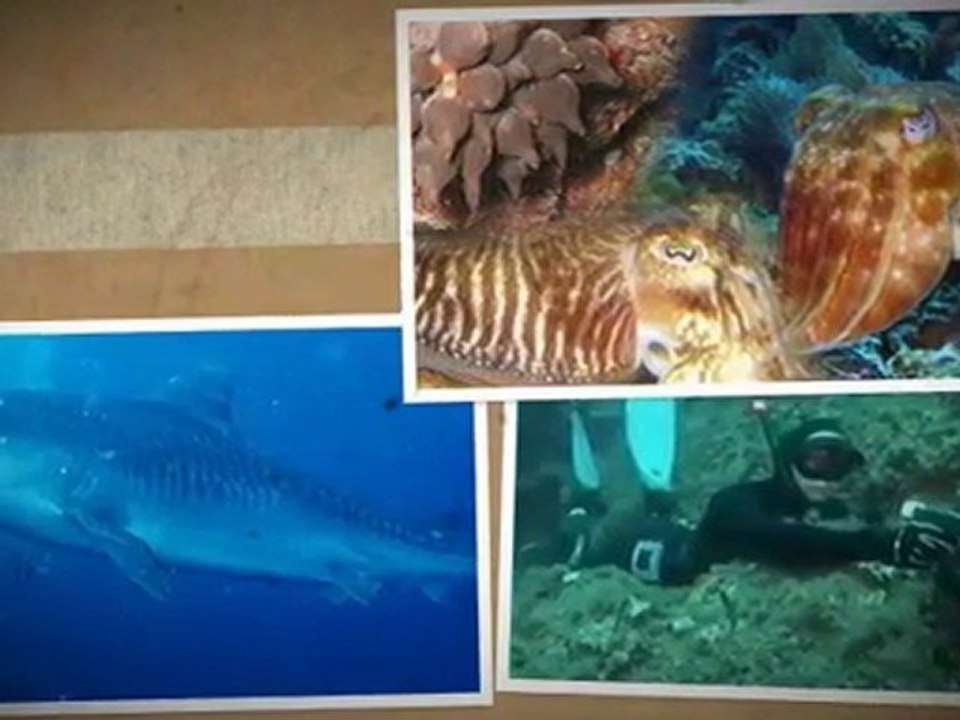 Le pêcheur Corse