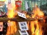 South Korean Farmers Protest Against Free Trade Agreement