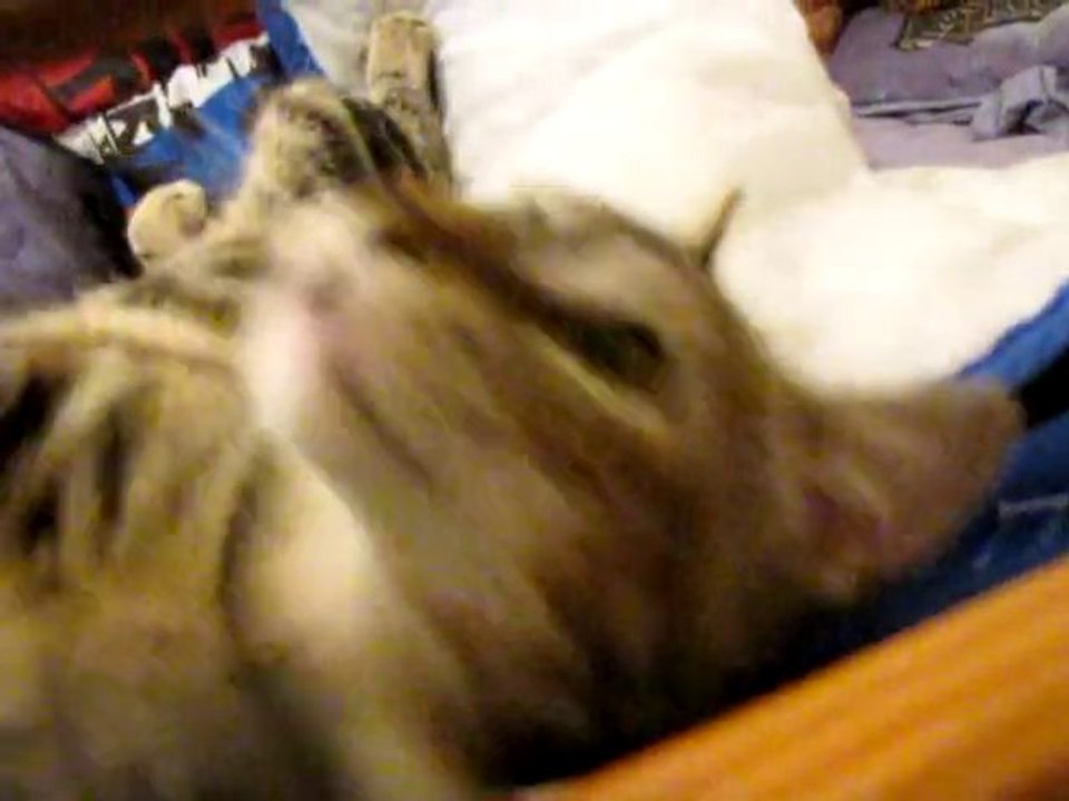 Olyanna fait du charme