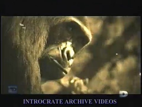 Dévoré Vivant, Tueurs en liberté - 2 de 3