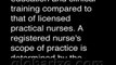 What is a Registered Nurse (RN)?