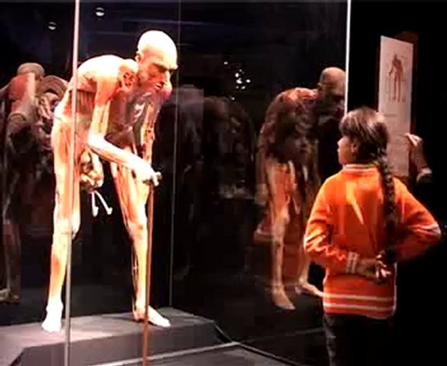 Body Worlds Istanbul 2010