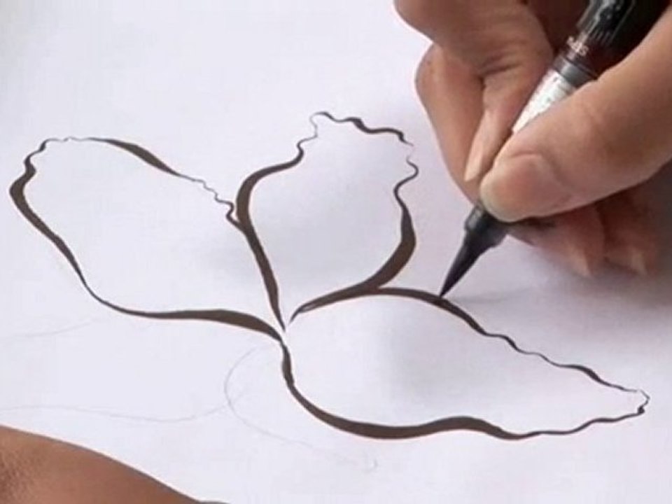 How To Draw A Lily