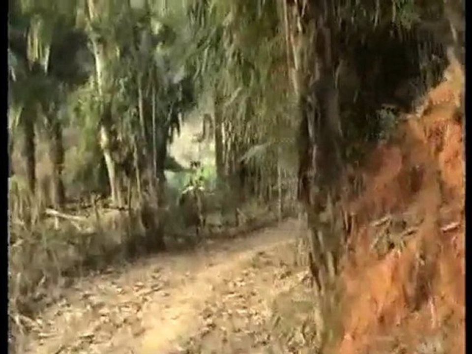 North Vietnam motorbike tours with Lotussia Travel