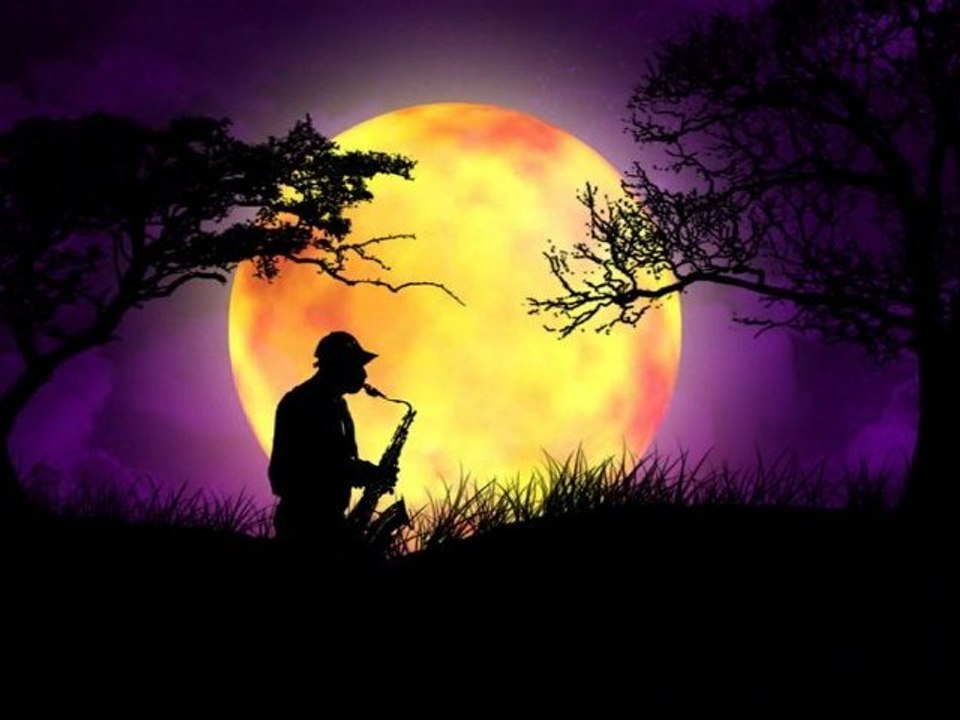 ☽Moonlight☾