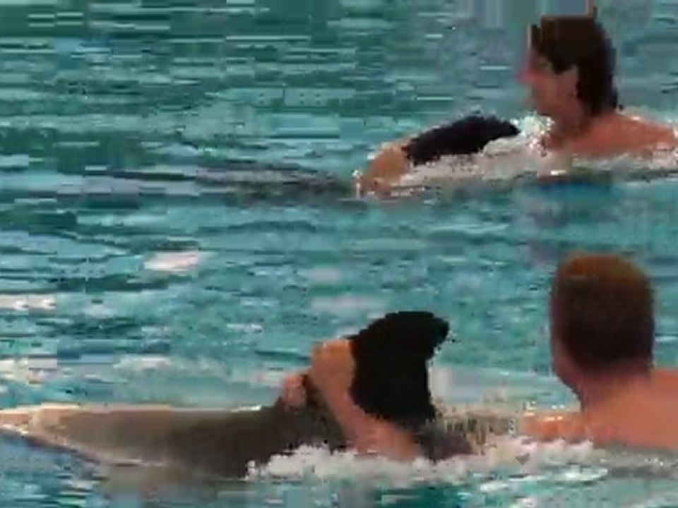 ET LA TU ME VOIS MIEUX QUAND JE NAGE AVE LE DAUPHIN?? hihi