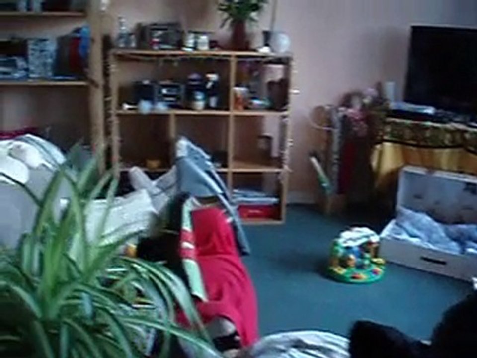 Chez ma soeur - Bounty - une vidéo Animaux