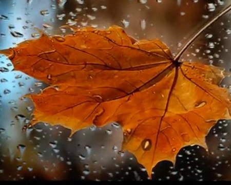 Gökçe Kırgız...Kalbime gömerim o zaman