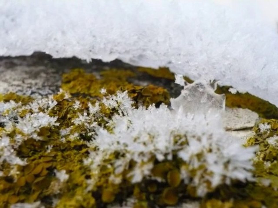2010-11-givre
