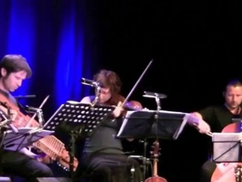 nyckelharpa een schip wannes van de velde didier francois