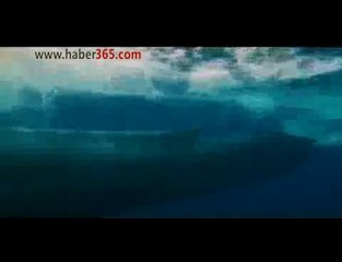 Okyanusta dev balina