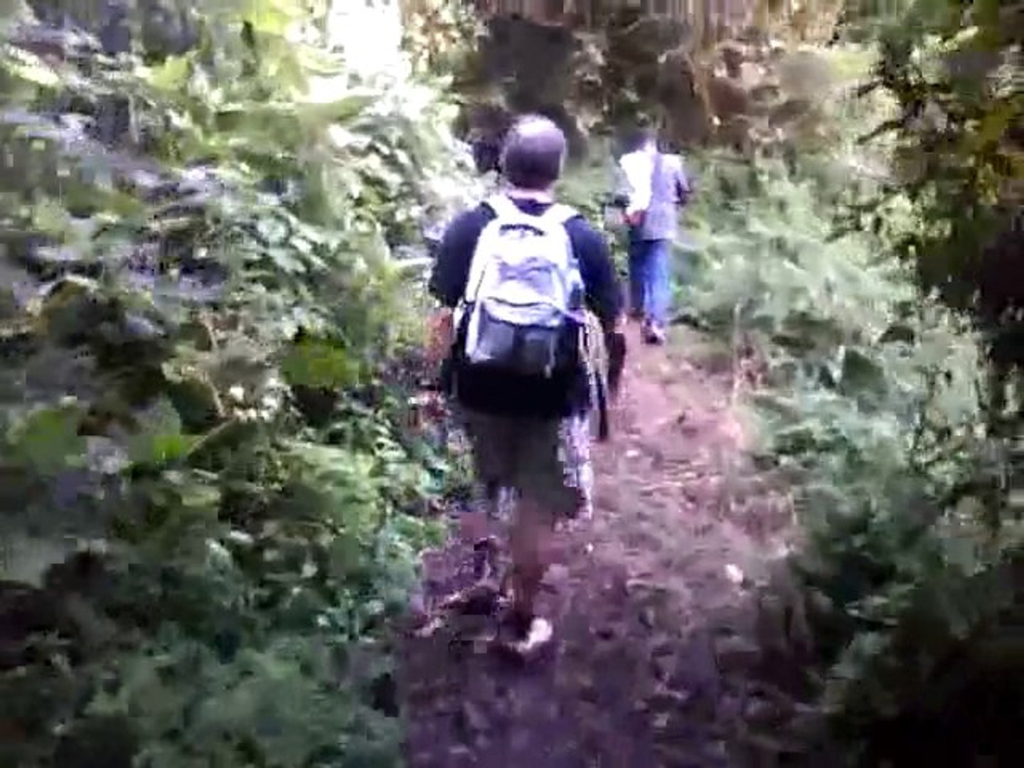 ⁣trekking on mount Cameroon