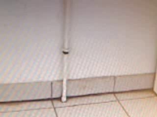 marchands de sommeil ?????