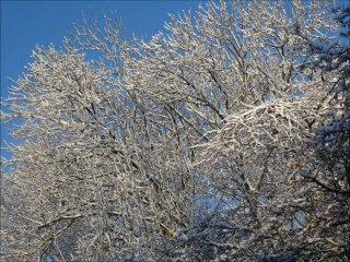 Le lycée sous la neige