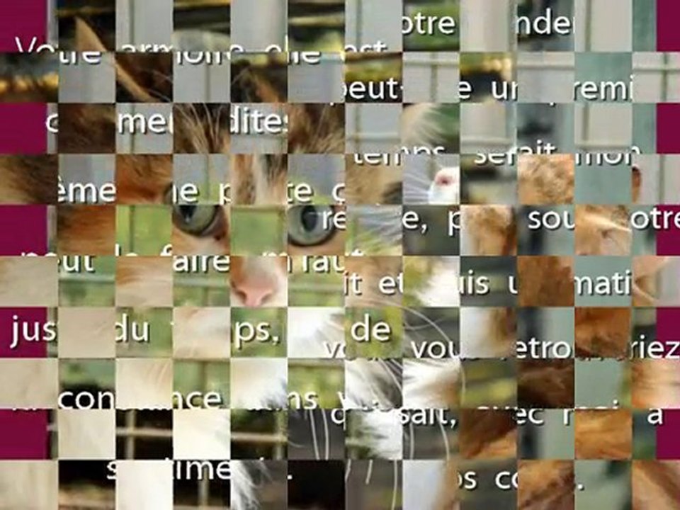 Chaylla, vous attend au Refuge de Beauregard