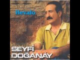 Seyfi Doğanay - Pişman Olursun