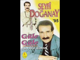 Seyfi Doğanay - Hain