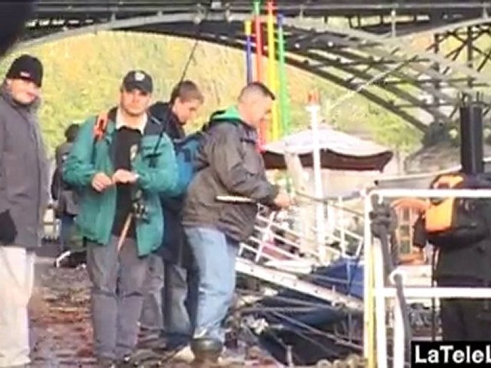 SOUS LES PAVÉS... DU POISSON !
