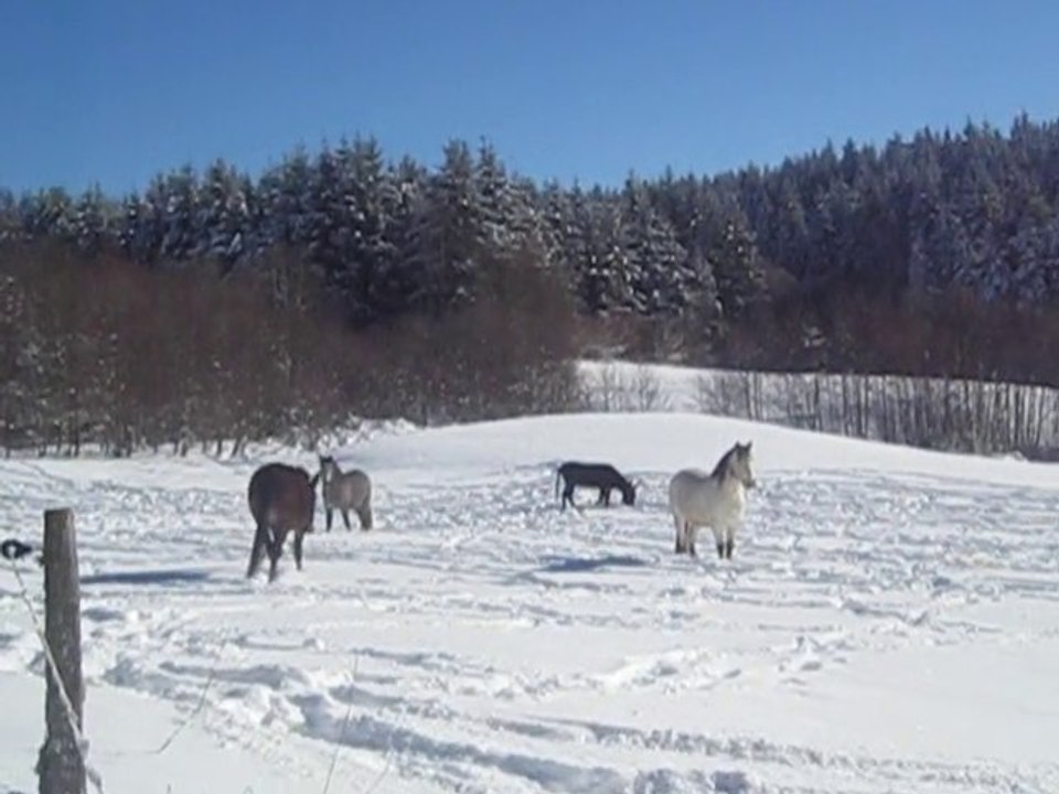 MVI_3957