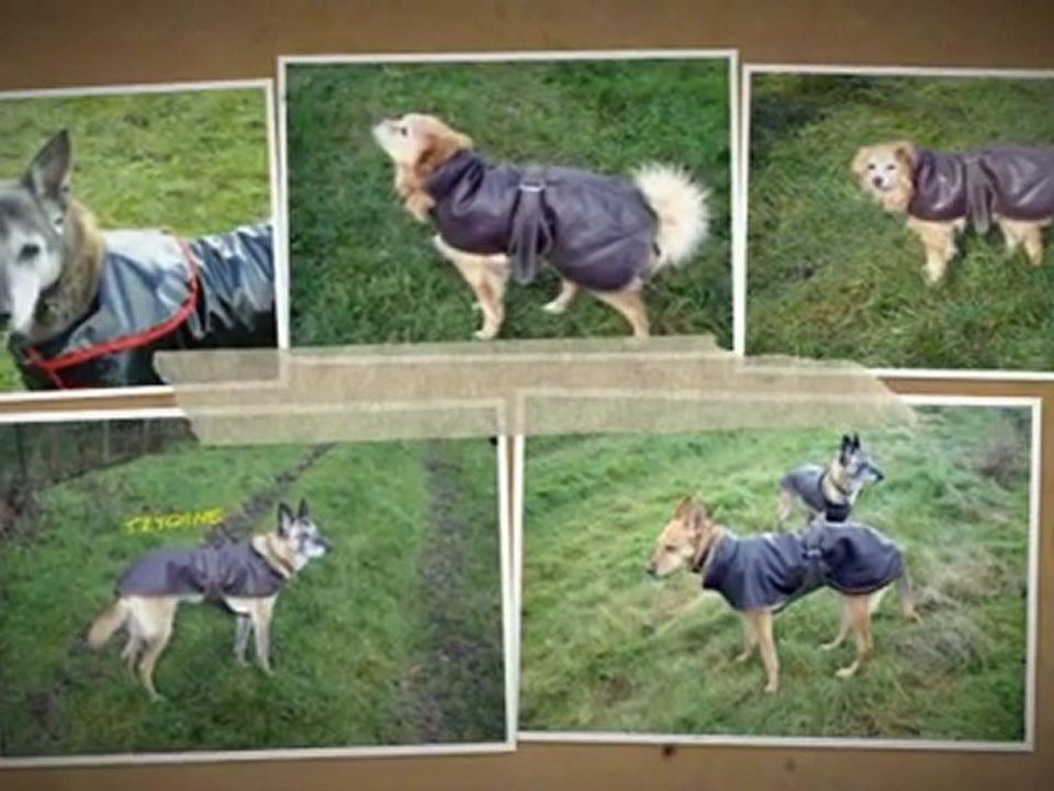 Quel temps de chien..s! On a mis nos impers