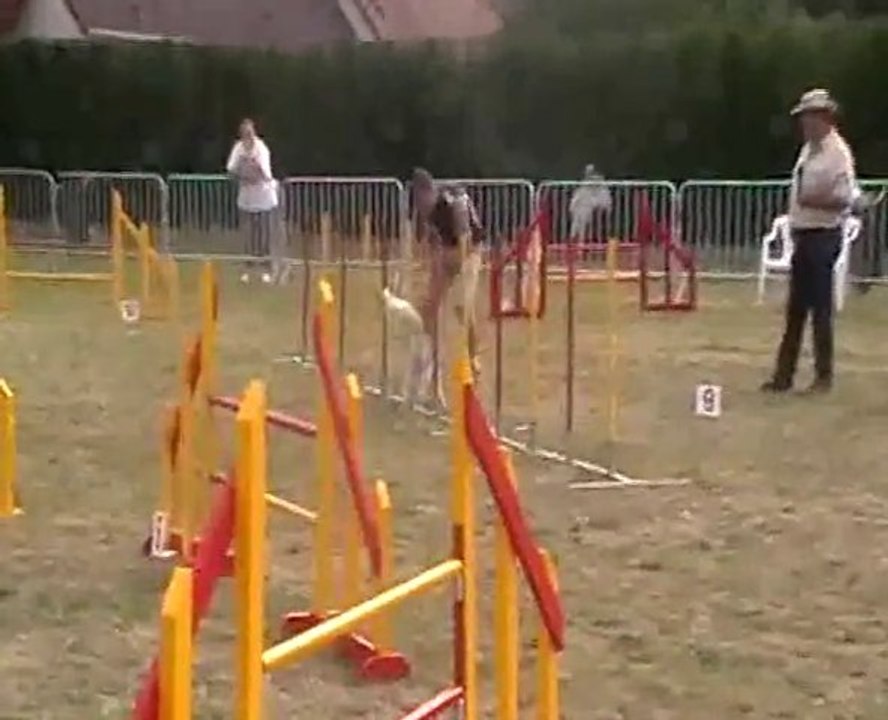 Jumping maintenon