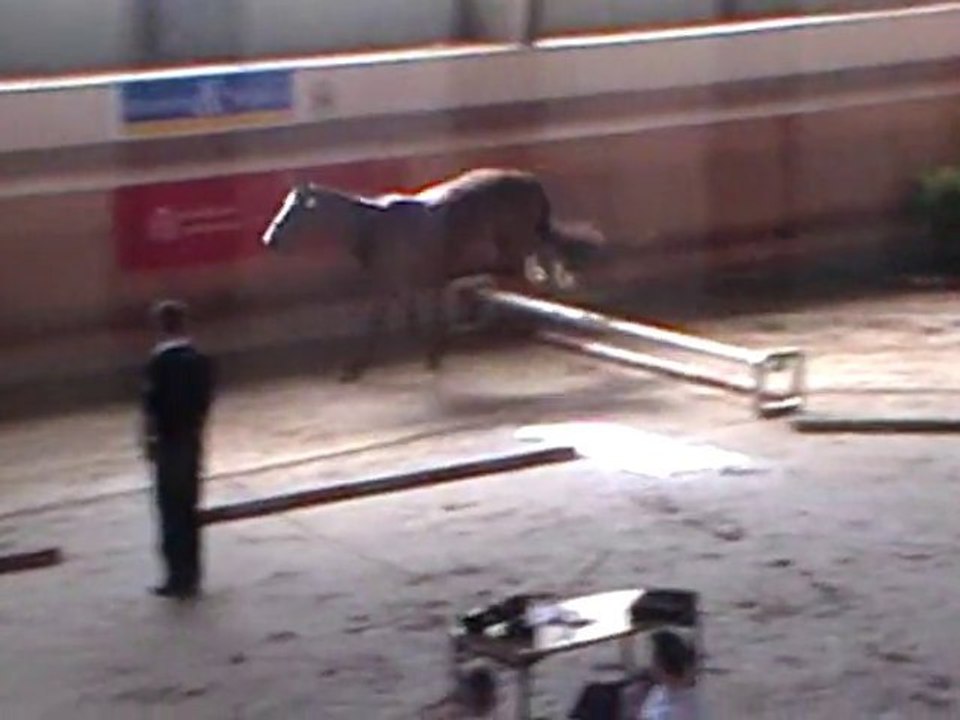 Tenessee de Roka2