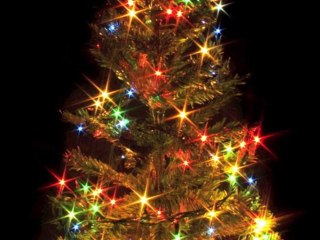 Gaming France Programme Fin 2010