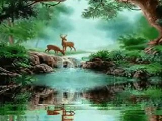 Pearlfisher Tango - VBOX7