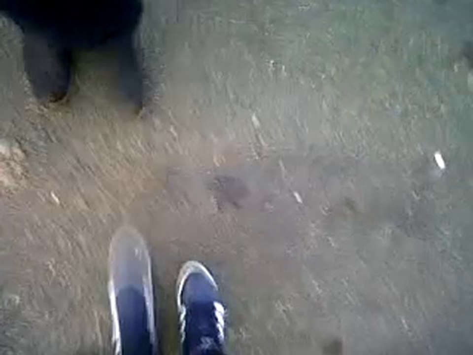 VID 00015-20101129-1603