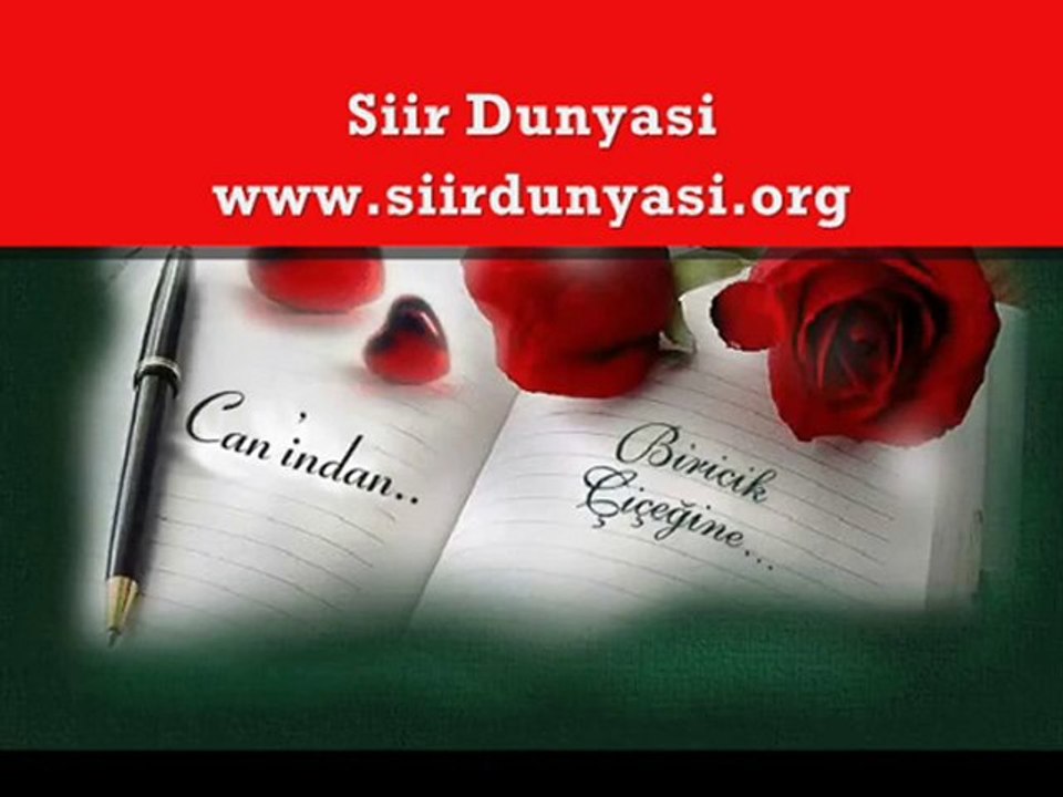Nerdesin Sen