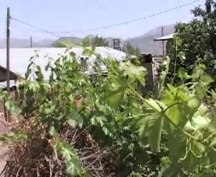 SARIKAMIŞ KÖYÜ ELAZIĞ... M.Gür...