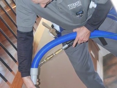 Carpet, Upholstery, Tile Cleaning | Tuxedo Carpet Care