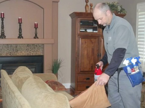 Carpet and Upholstery Cleaning | Tuxedo Carpet Care
