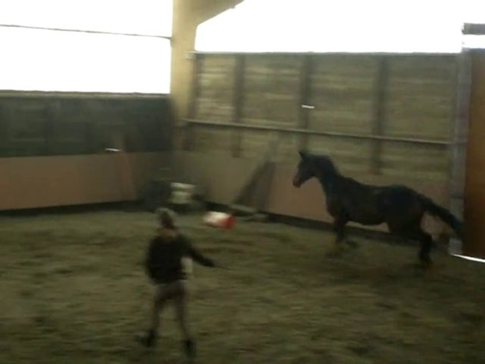 Premiers sauts à Fleurey