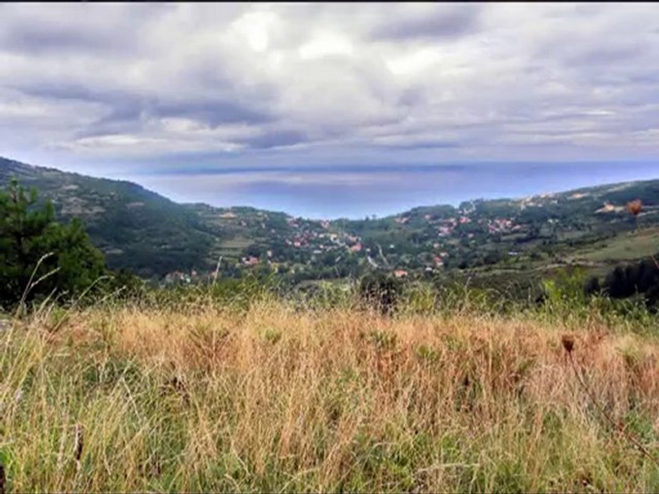 ilyasbey köyü 2010